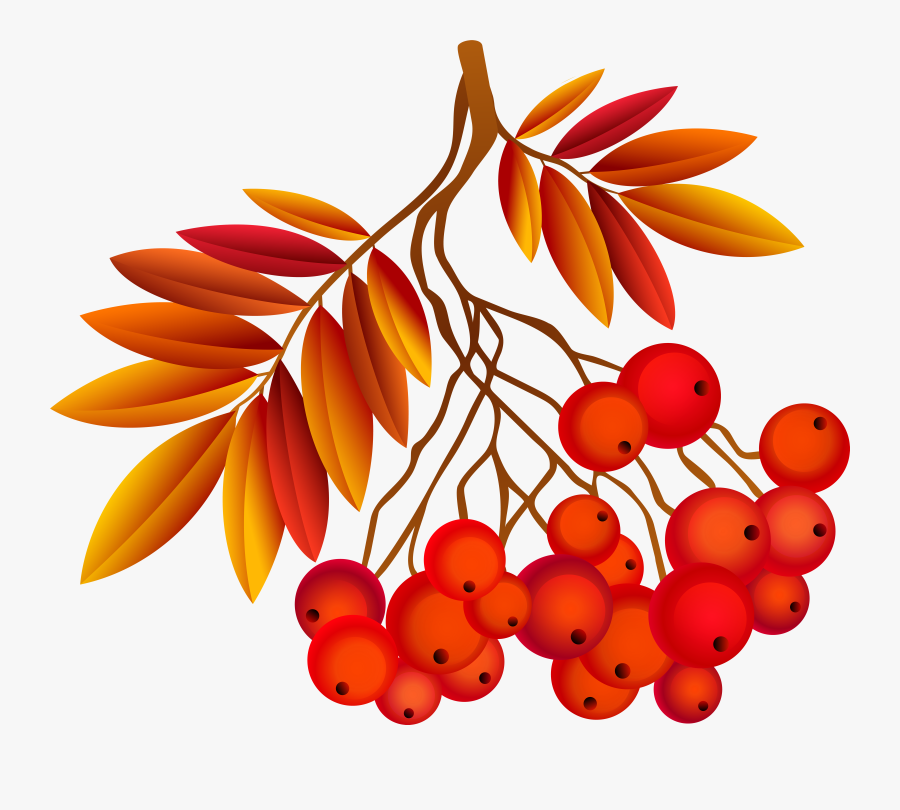 Deco Clipart Leaf, Transparent Clipart