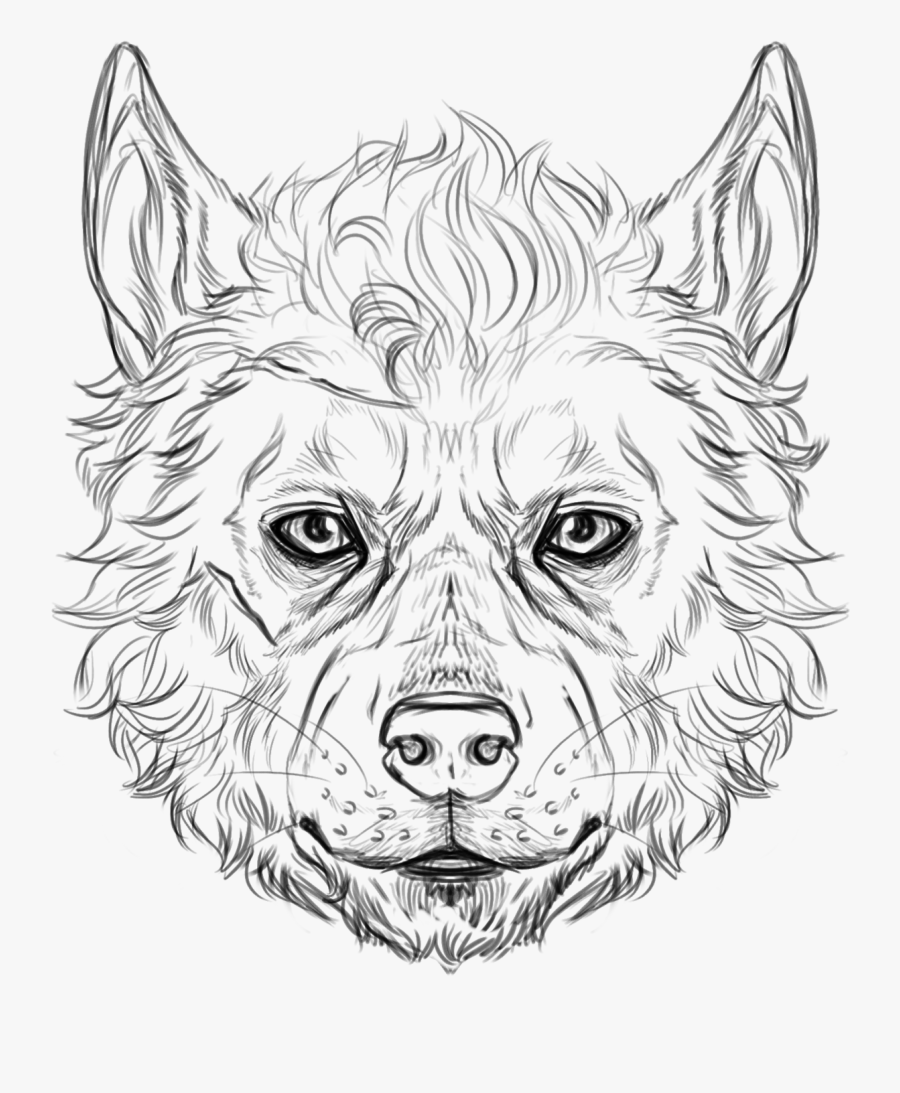 Drawing At Getdrawings Com - Wolf Drawing Line Face, Transparent Clipart