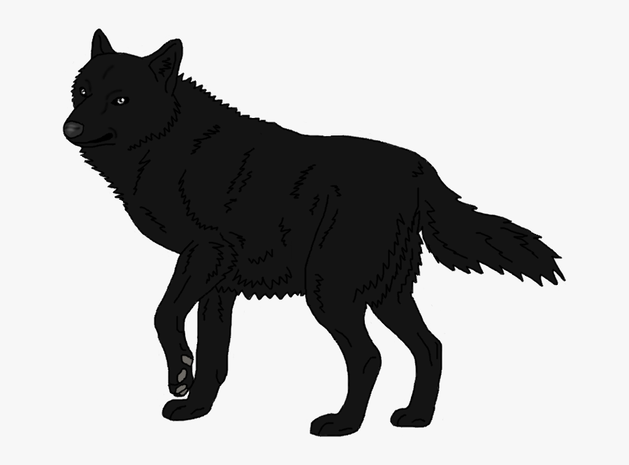 Schipperke Arctic Wolf Mexican Wolf Black Wolf Arctic - Shadow Wolf Png, Transparent Clipart