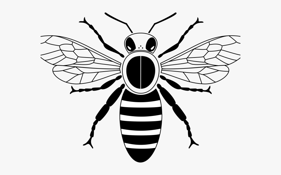Bees Clipart Simple - Transparent Background Honey Bee Clipart Black And, Transparent Clipart