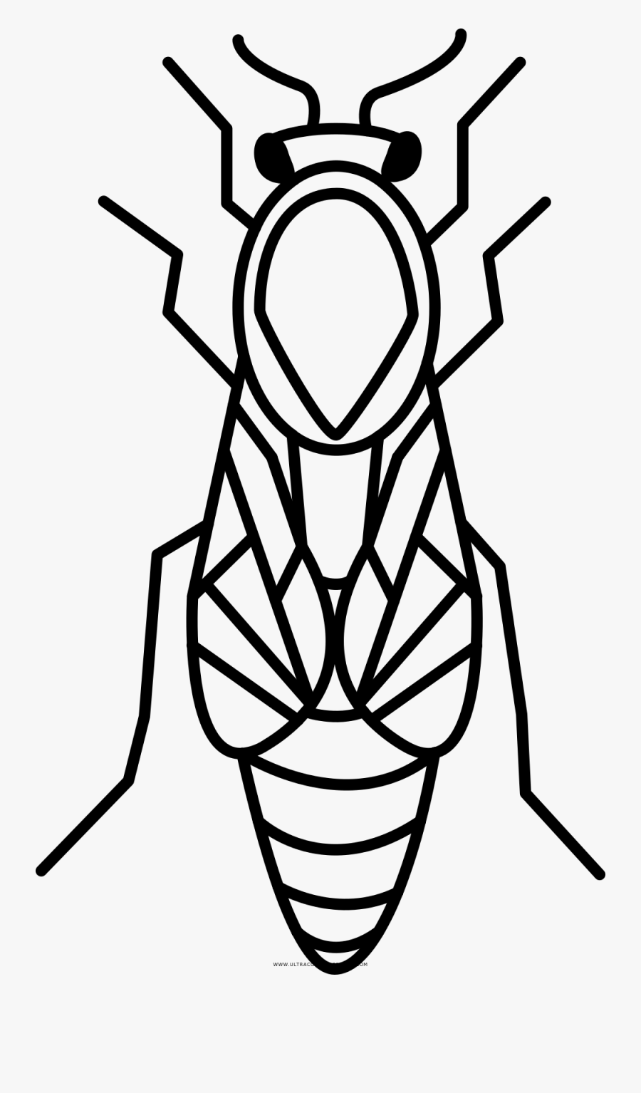 Queen Bee Coloring Page - Coloring Book, Transparent Clipart