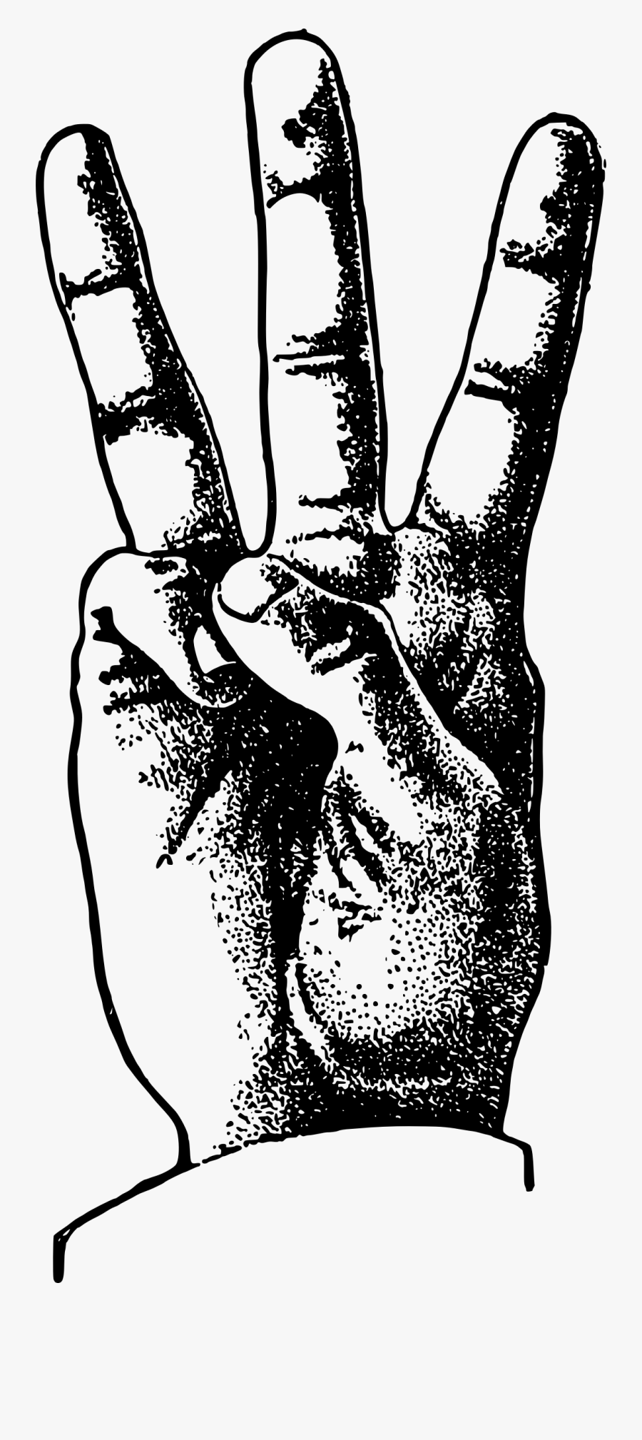 Transparent Finger Clipart - Hand Three Fingers, Transparent Clipart