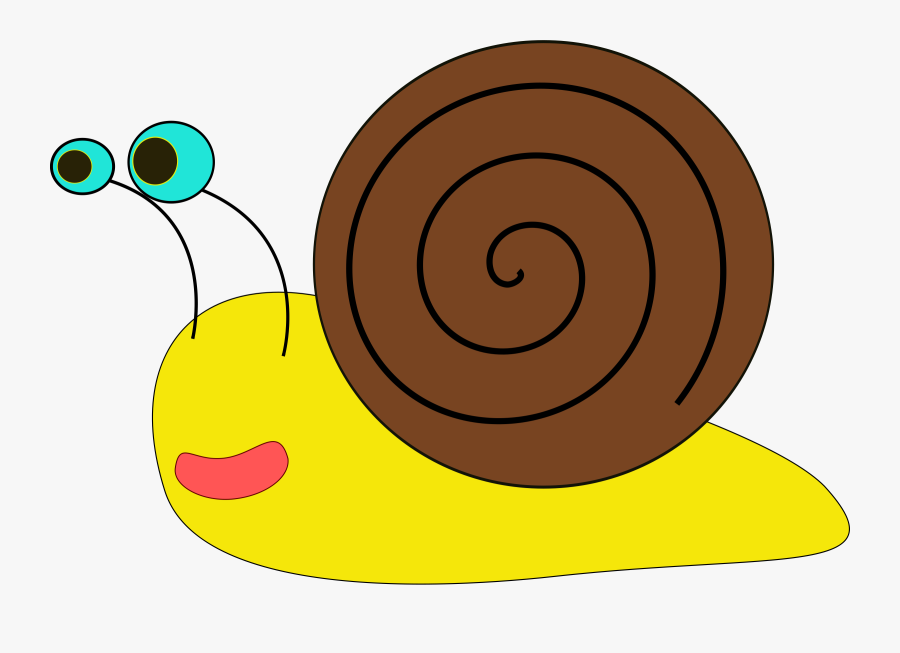 Snail Clipart Black And White Free Clipart Images - Snail Clip Art, Transparent Clipart