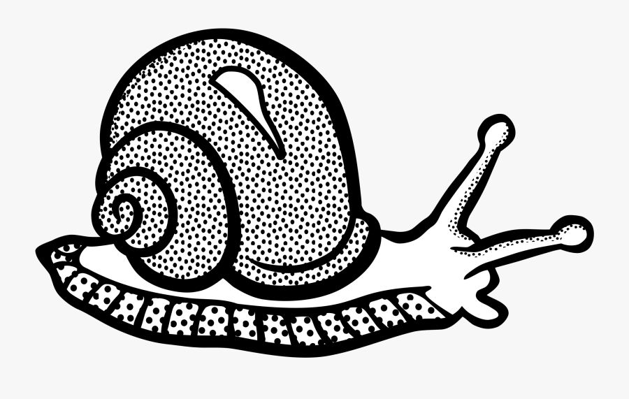 Line Art,art,snail - Snail Black And White Clipart, Transparent Clipart
