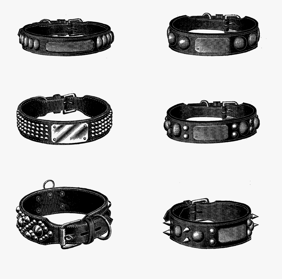 Dog Collar Transfer Images Downloads Illustrations - Dog Collar Illustration Vintage, Transparent Clipart
