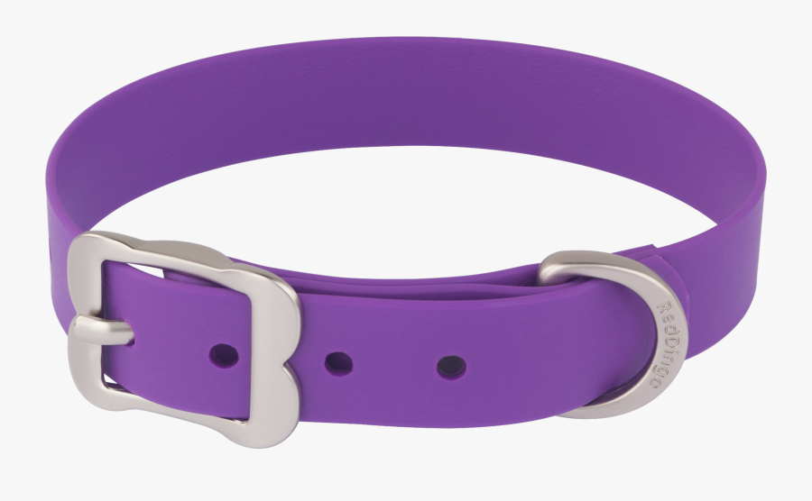 46204 - Dog Collar Png, Transparent Clipart