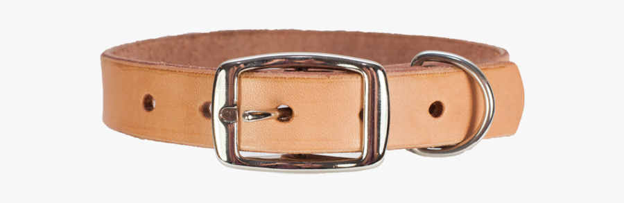 46218 - Buckle, Transparent Clipart