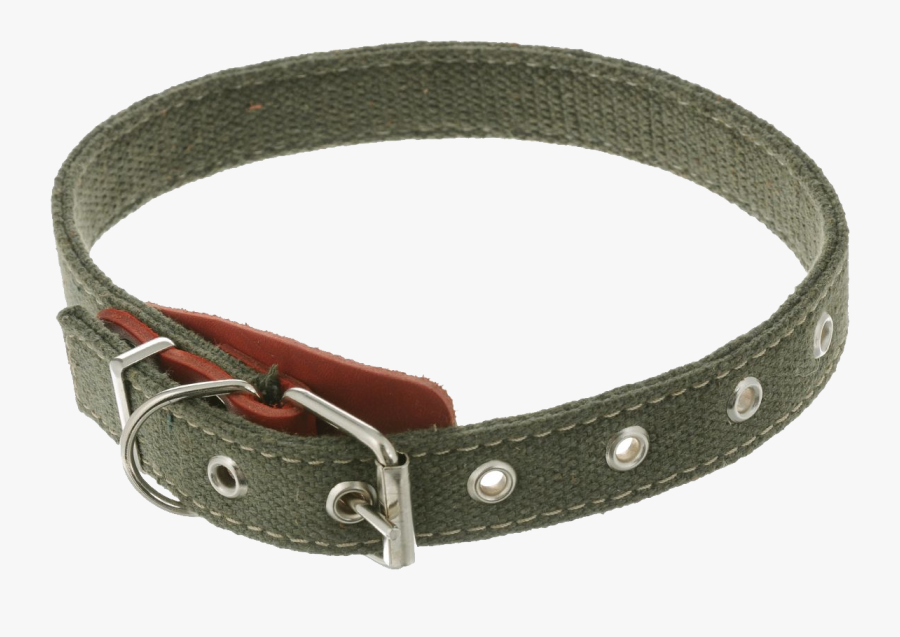 Dog Collar Png, Transparent Clipart