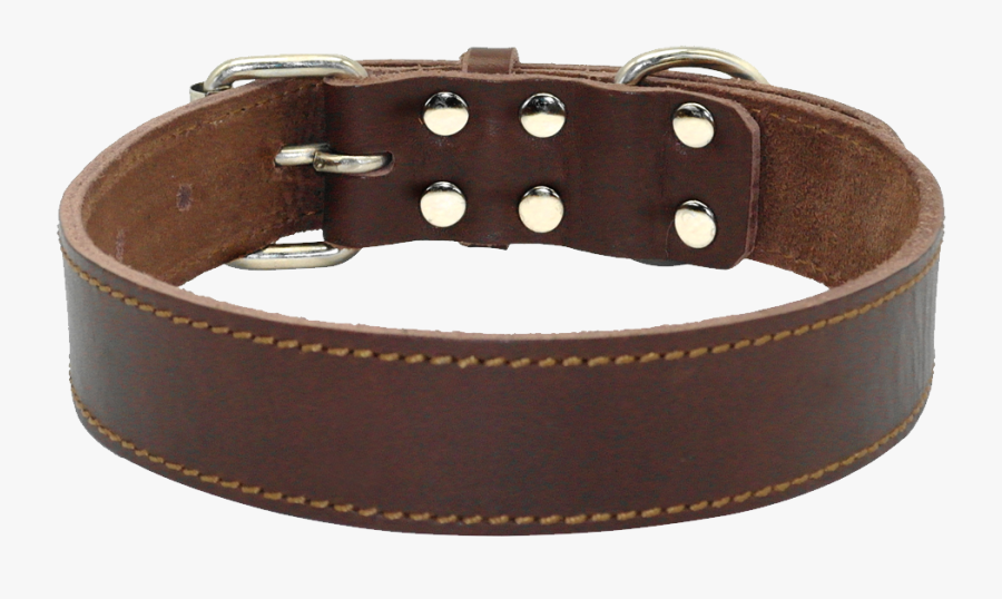 Dog Collar Png, Transparent Clipart