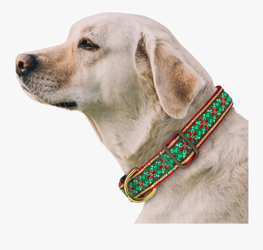 Morocco Flower Dog Collar With Bow Tie & Keychain Included - Lebra Dog Name Male, Transparent Clipart