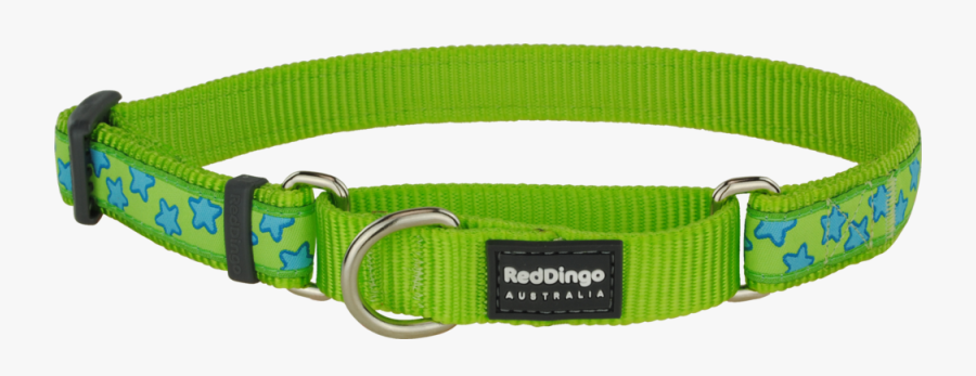 Martingale Turquoise Stars Dog Collar - Martingale, Transparent Clipart