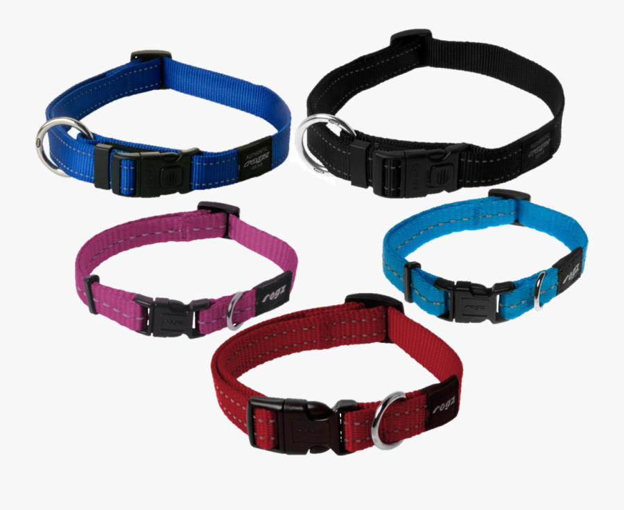 Pet Supplies Online Png - Dog Collar, Transparent Clipart