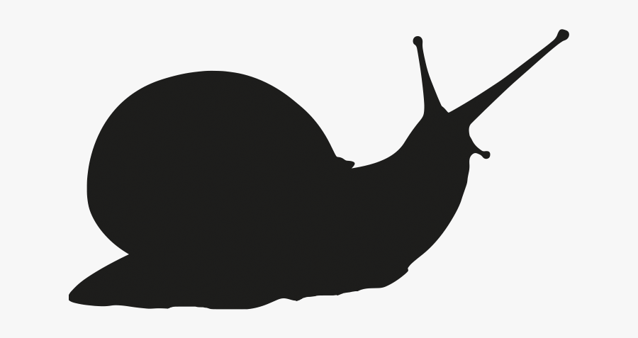 Svg Freeuse Snail Clipart Slow Person - Lymnaeidae, Transparent Clipart
