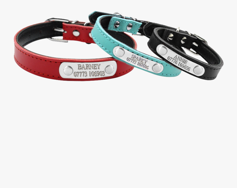Transparent Dog Collar Png - Collier Chat Personnalisable, Transparent Clipart