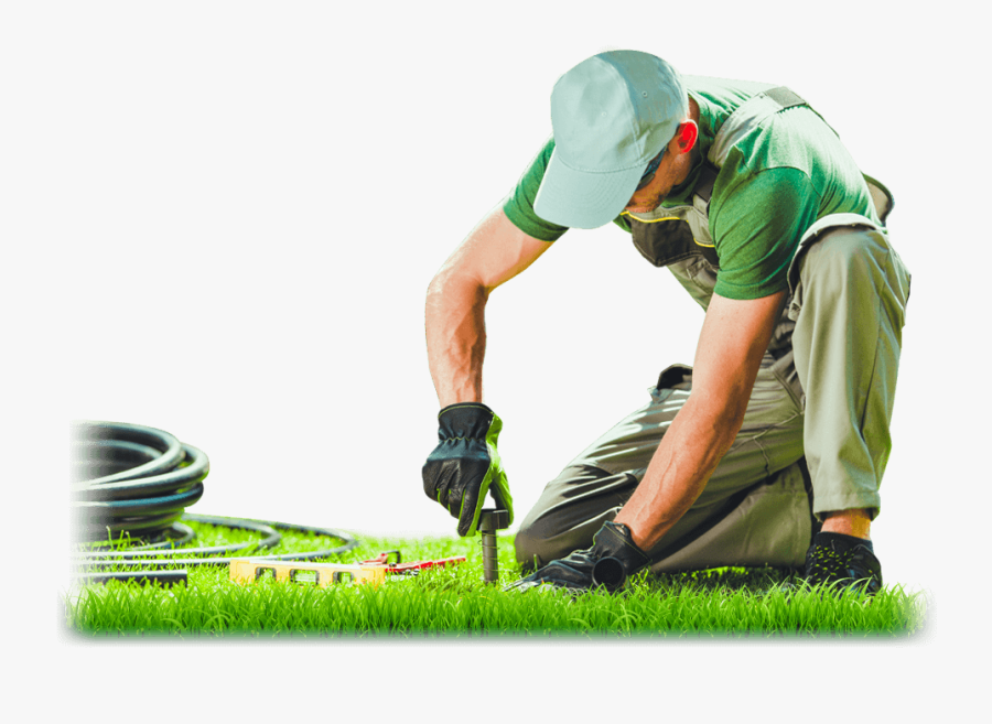 Lawn, Transparent Clipart