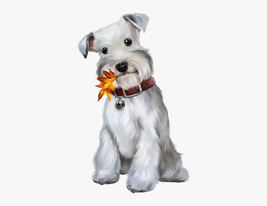 Chien Schnauzer Png, Transparent Clipart
