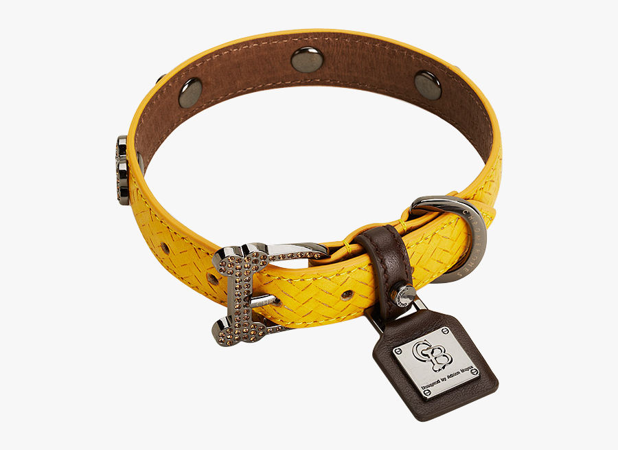 Collar,dog Collar,yellow,fashion Buckle - Dog Collar Png, Transparent Clipart