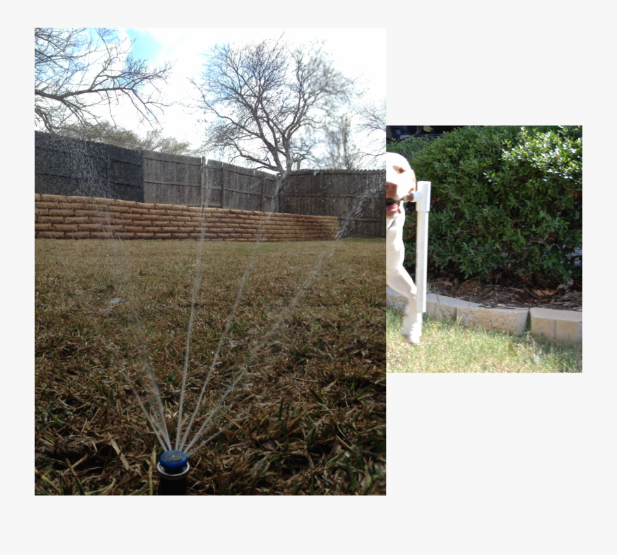 Finn Lawn Sprinkler Understands And Offers A Full Range - Grass, Transparent Clipart