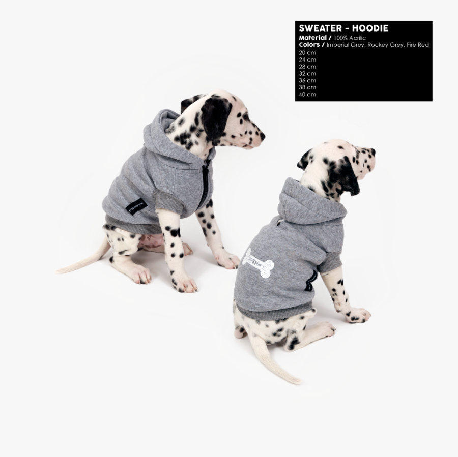 Dogcoat - Dalmatian, Transparent Clipart