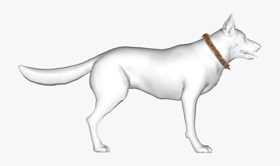 Transparent Dog Collar Png - Dogo Argentino, Transparent Clipart