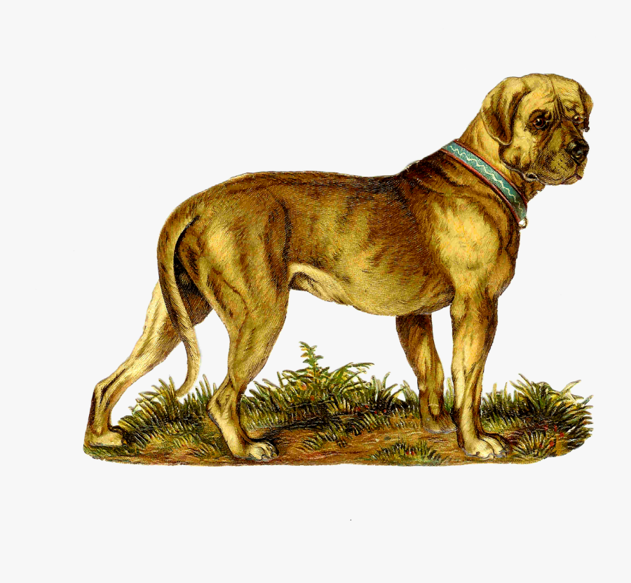 Transparent Great Dane Clipart - Victorian Dog House Clipart, Transparent Clipart
