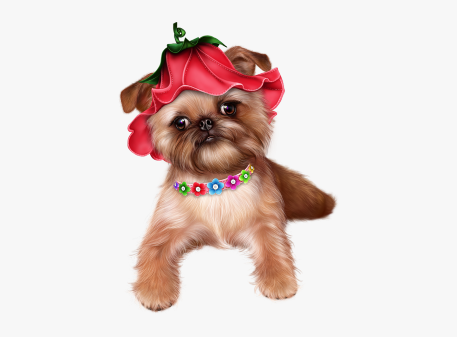 Have A Beautiful Tuesday, Transparent Clipart