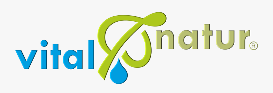 Graphic Design, Transparent Clipart