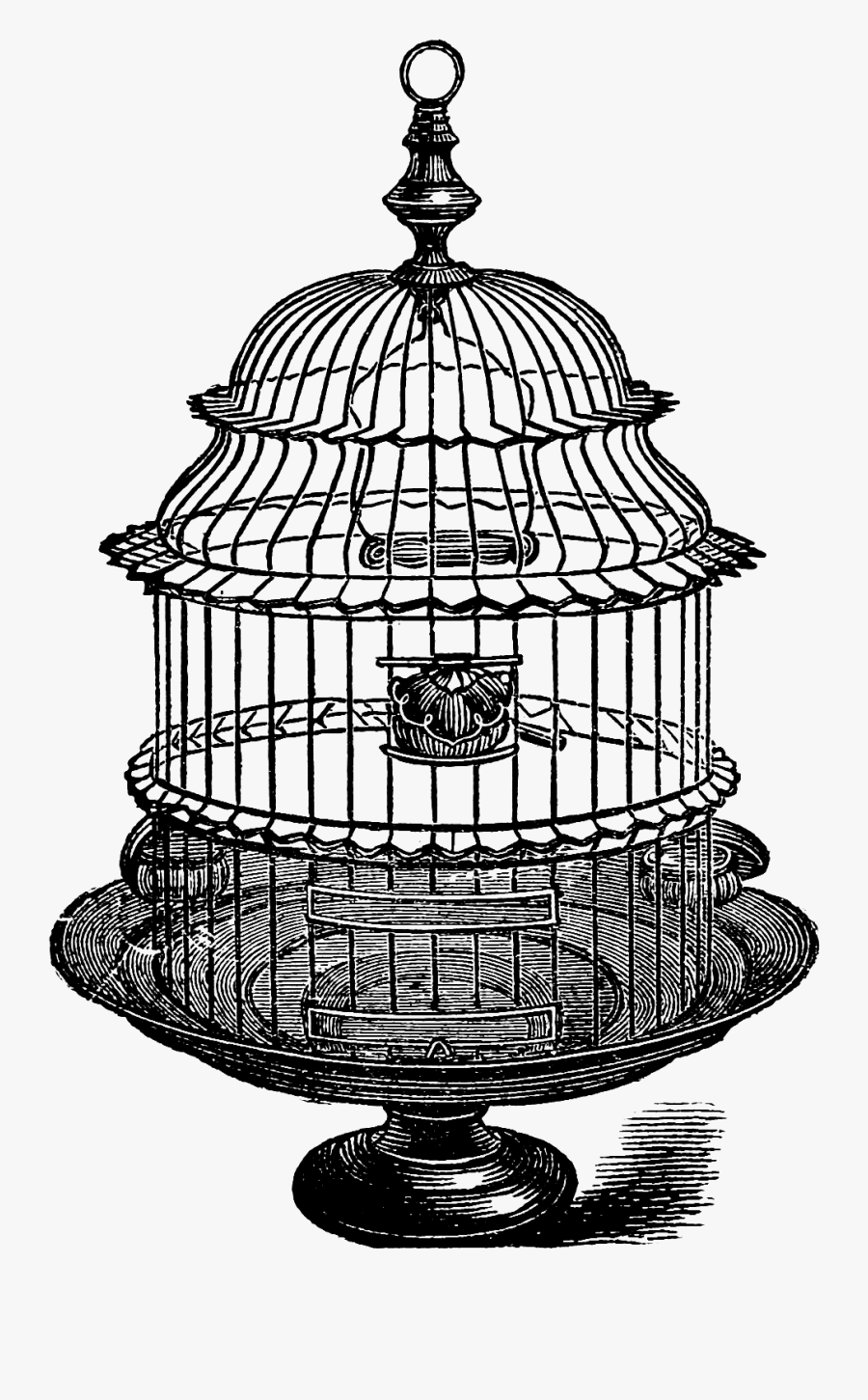 Birdcage Clipart Grey - Vintage Bird Cage Black And White, Transparent Clipart