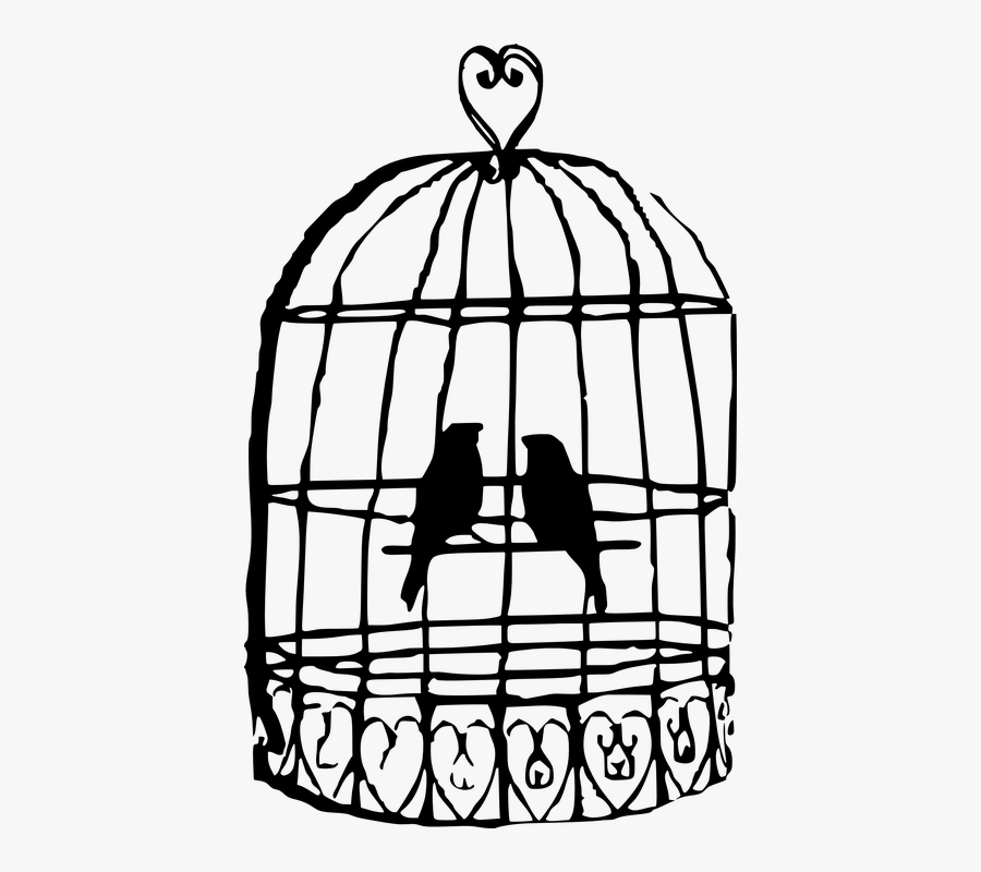 Birds, Caged, Cage, Birdcage, Confined, Couple, Pets - Drawing Of Bird Cage, Transparent Clipart