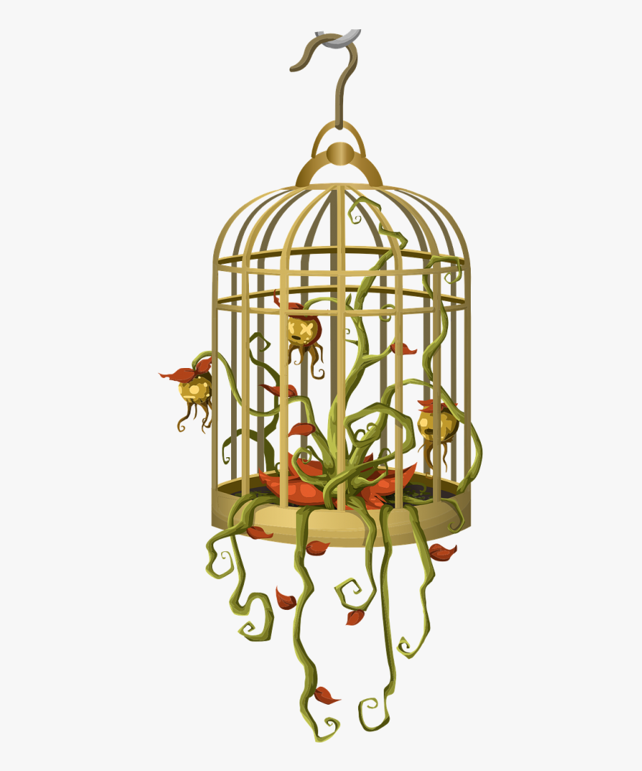 Bird Cage Hanging Birdcage - Cage Png With Flower, Transparent Clipart