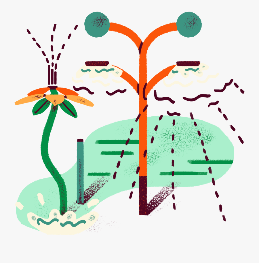 Clip Art, Transparent Clipart