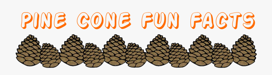 Pine Cone Clipart Natural Form - Lodgepole Pine, Transparent Clipart