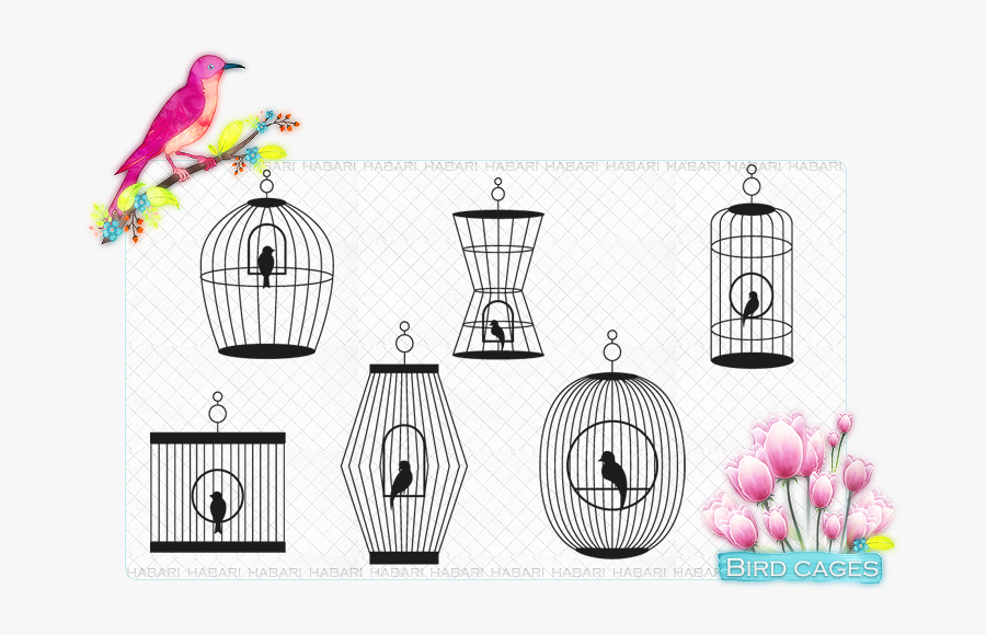 سكرابز اقفاص عصافير للتصميم Birdcage Clipart Free Png - سكرابز اقفاص ذهبيه, Transparent Clipart