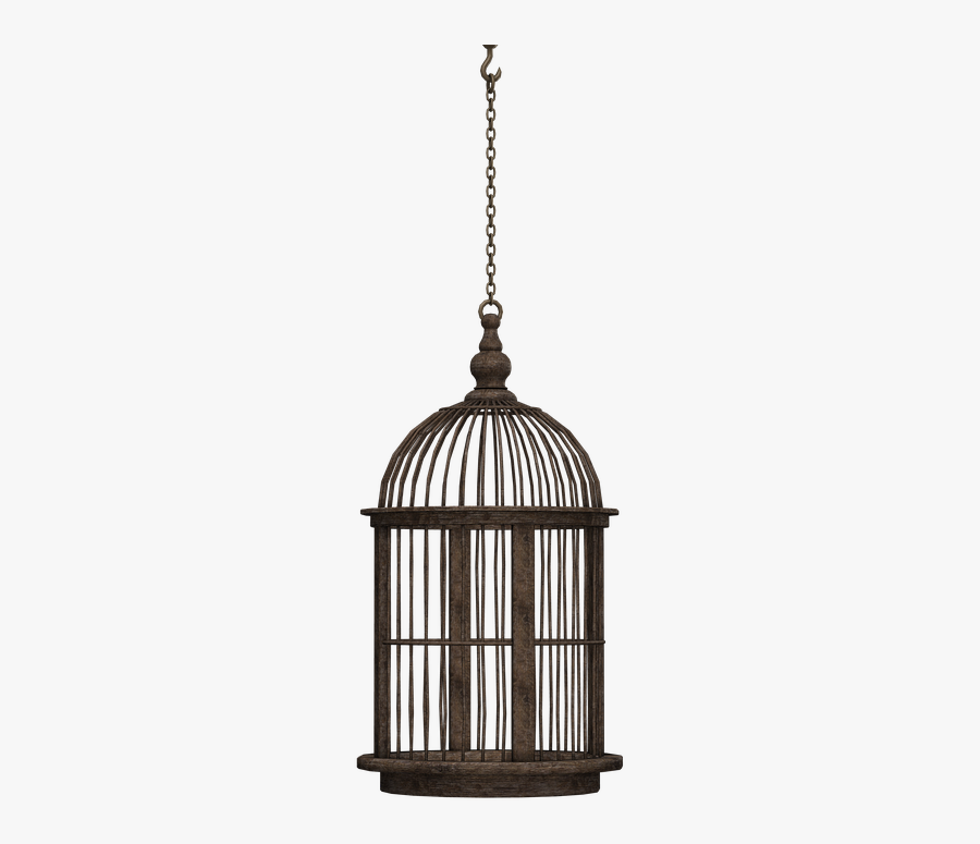 Bird Cage Png Image - Cage Without A Bird, Transparent Clipart