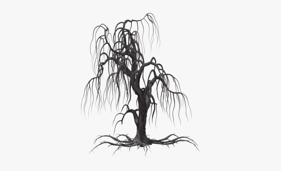 Silhouette Dead Willow Tree, Transparent Clipart