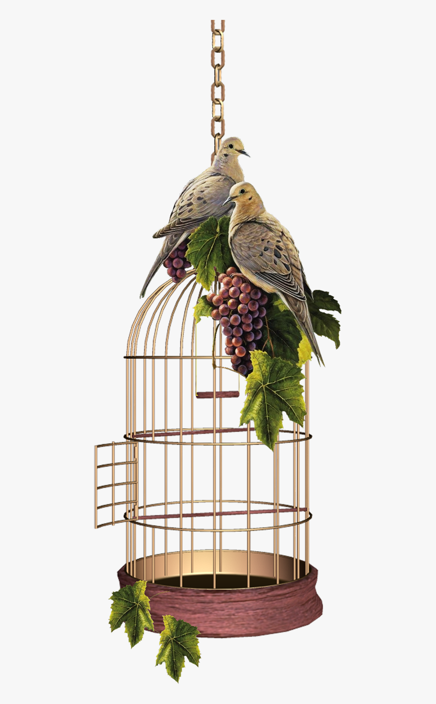Birdcage Png Picture - قفص Png, Transparent Clipart