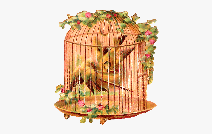 Free Digital Bird Cage Clip Art With 2 Yellow - Bird Cage Birds Flowers, Transparent Clipart