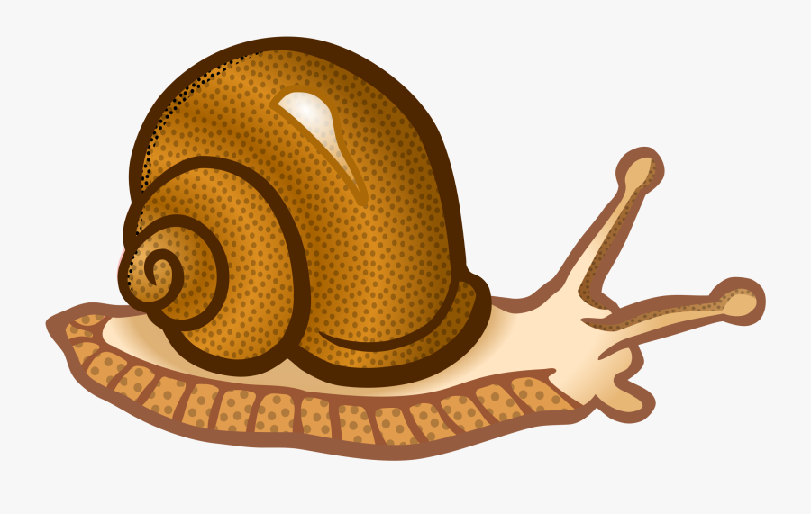 Snail Clipart Colourful - Cartoon Snail Png, Transparent Clipart