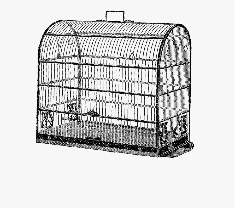 Birdcage, Transparent Clipart