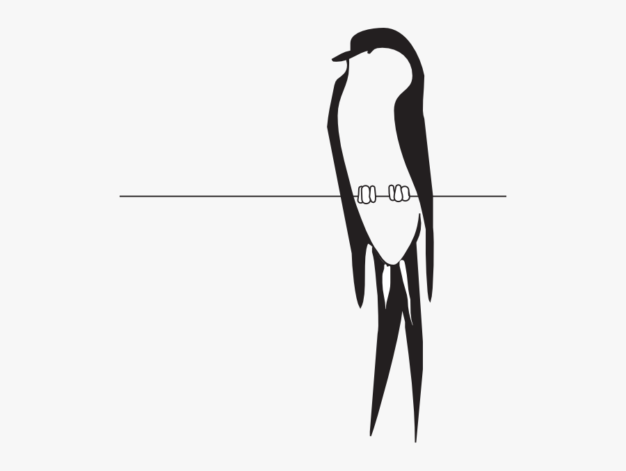 Birds On A Wire Clipart - Bird On Wire Clipart, Transparent Clipart