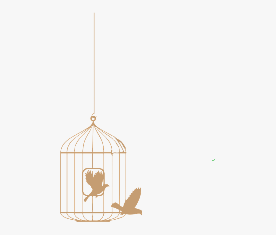 Jpg Free Cage Cagedbird Gold Birds Freetoedit - Gold Bird Cage Png, Transparent Clipart