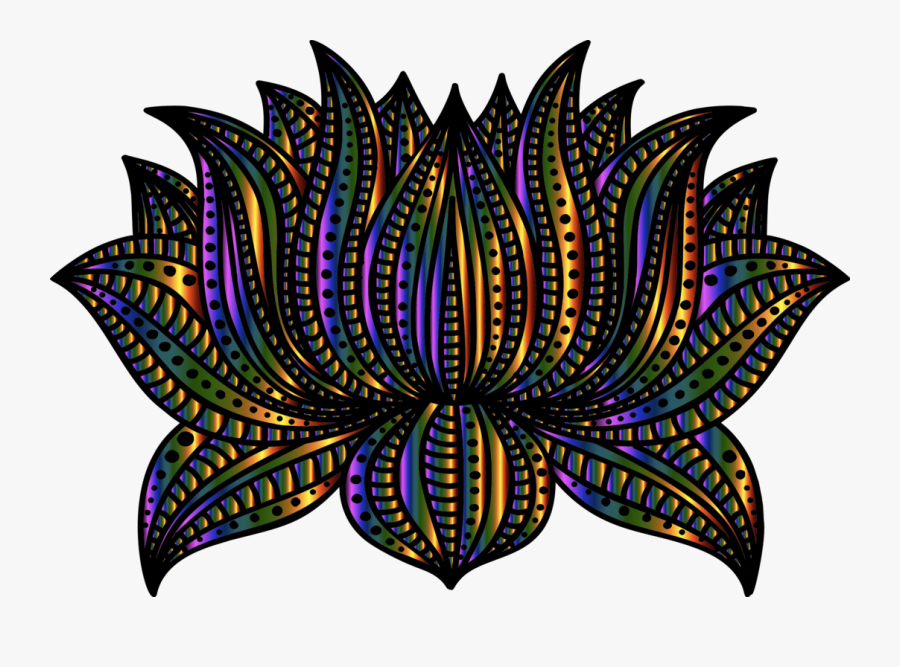 Plant,flower,leaf - Illustration, Transparent Clipart