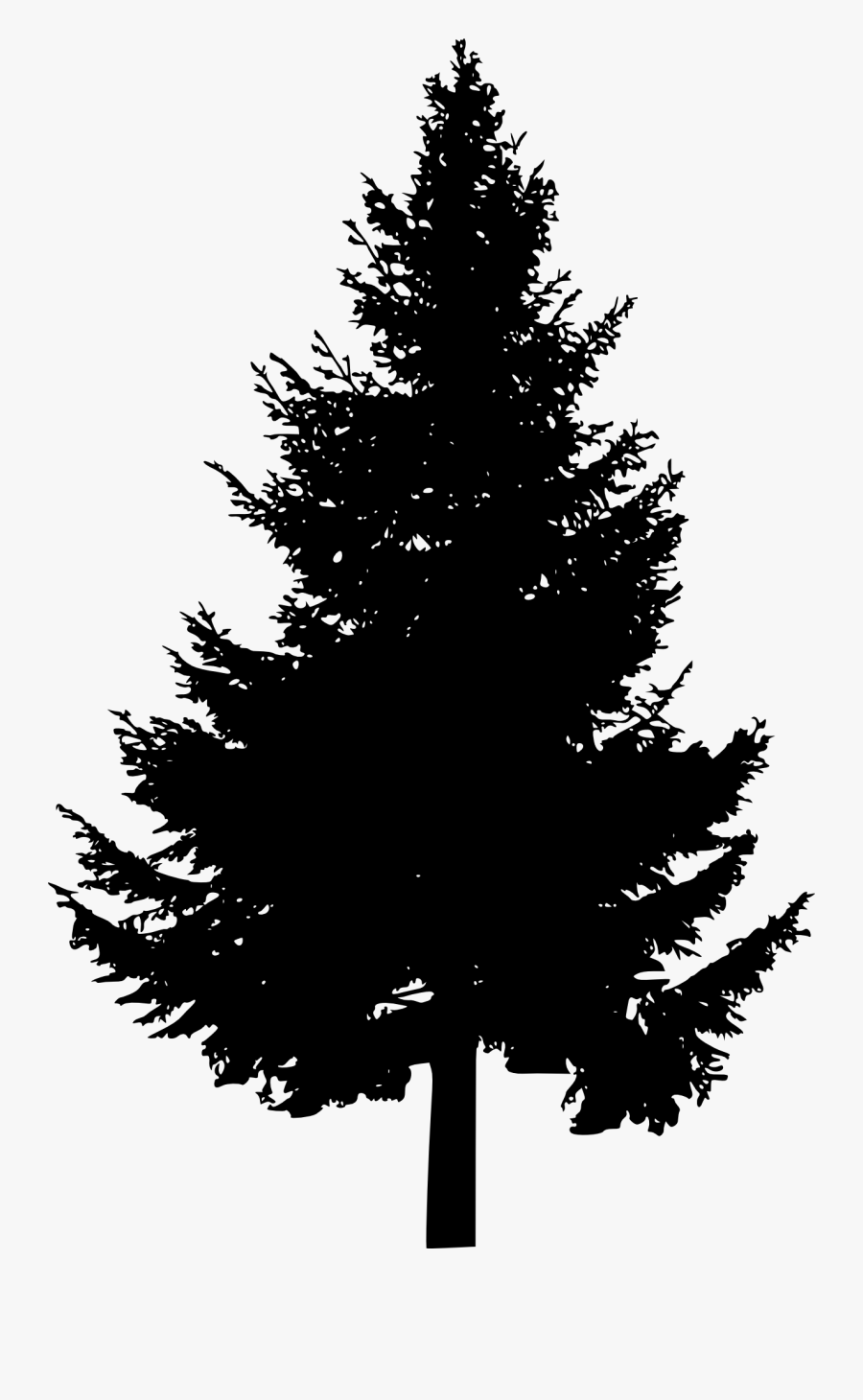 Pine Tree Silhouette Clip Art - Pine Trees Silhouette Png, Transparent Clipart