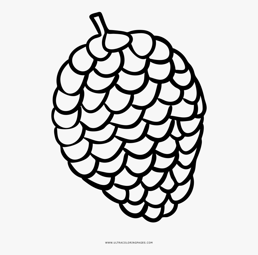 Pine Cone Coloring Page - Illustration, Transparent Clipart