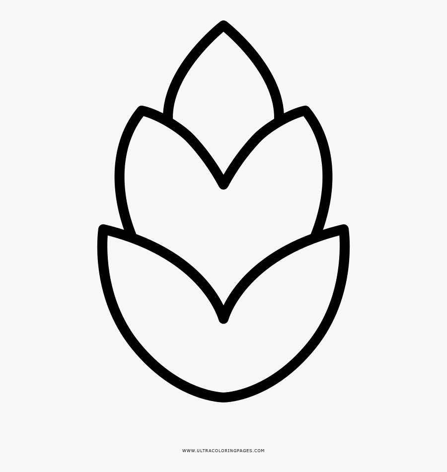 Pine Cone Coloring Page - Line Art, Transparent Clipart