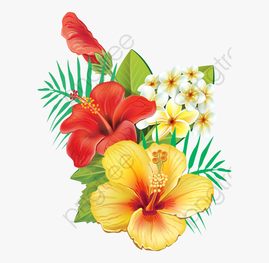 Fresh Hibiscus - Tropical Flowers Png Transparent, Transparent Clipart