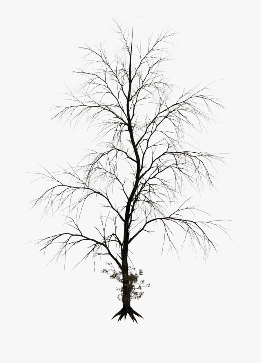 Dead Tree Clipart Noose Silhouette - Transparent Dark Tree, Transparent Clipart