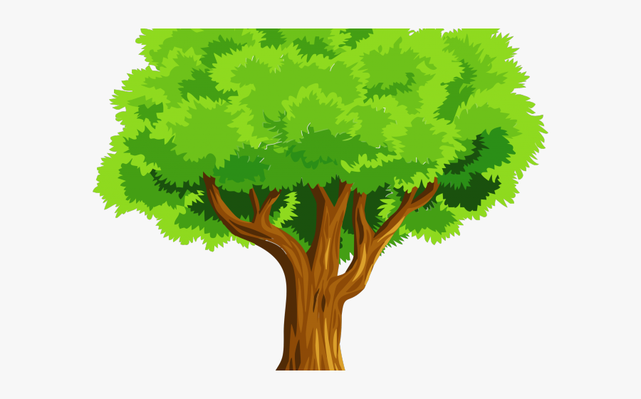 Clipart Trees, Transparent Clipart