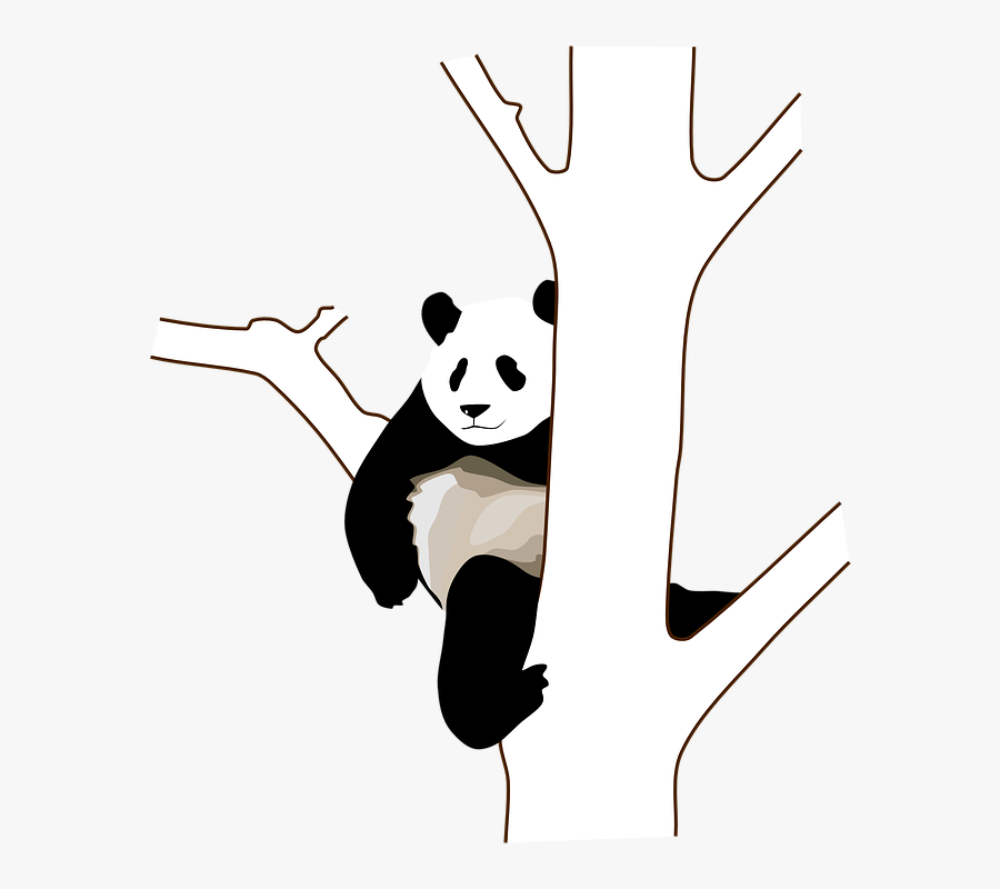 Panda On A Tree Clip Art At Clker - Panda In Tree Outline, Transparent Clipart
