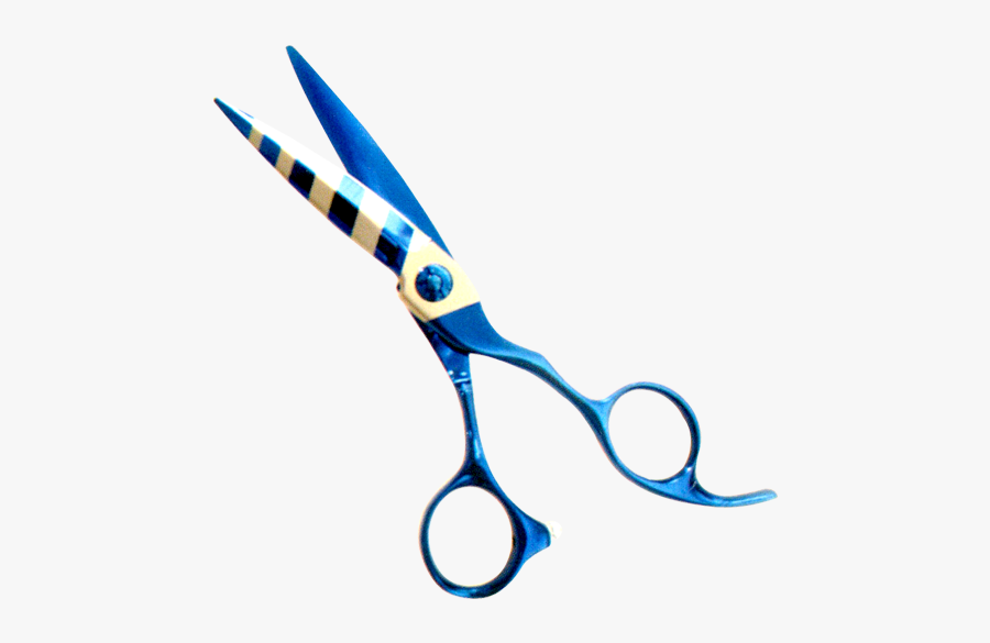 Alex Ent Name Plastic - Scissors, Transparent Clipart
